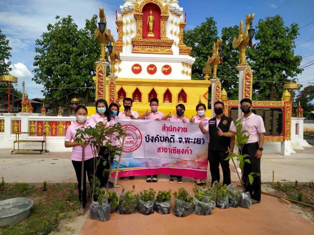 ﻿สำนักงานบังคับคดีจังหวัดพะเยา สาขาเชียงคำ จัดกิจกรรมปลูกต้นไม้ประจำปีของชาติ